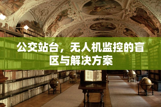 公交站台，无人机监控的盲区与解决方案