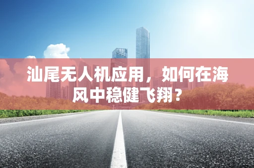 汕尾无人机应用，如何在海风中稳健飞翔？