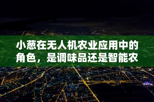 小葱在无人机农业应用中的角色，是调味品还是智能农业的秘密武器？
