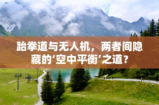跆拳道与无人机，两者间隐藏的‘空中平衡’之道？