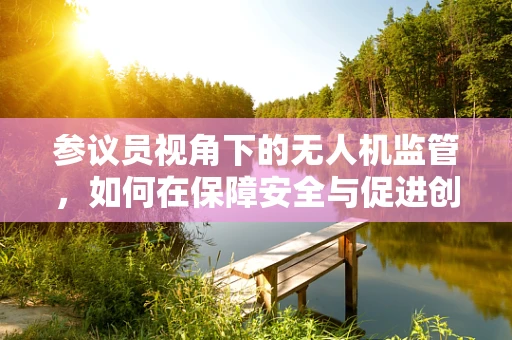 参议员视角下的无人机监管，如何在保障安全与促进创新间找到平衡？