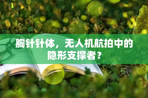 胸针针体，无人机航拍中的隐形支撑者？