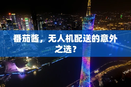 番茄酱，无人机配送的意外之选？