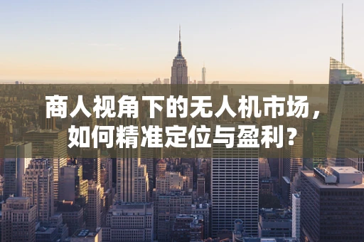 商人视角下的无人机市场，如何精准定位与盈利？