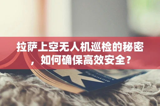 拉萨上空无人机巡检的秘密，如何确保高效安全？