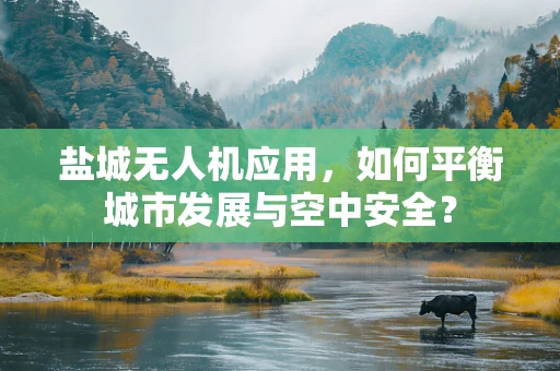 盐城无人机应用，如何平衡城市发展与空中安全？