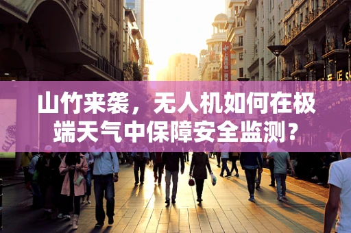 山竹来袭，无人机如何在极端天气中保障安全监测？