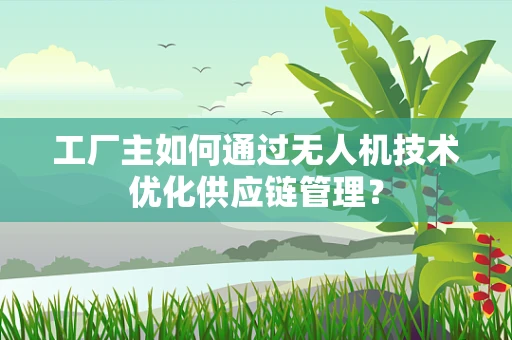 工厂主如何通过无人机技术优化供应链管理？