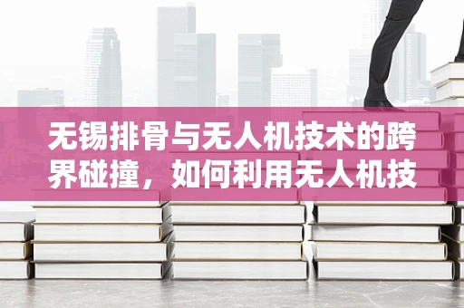 无锡排骨与无人机技术的跨界碰撞，如何利用无人机技术优化食材供应链？