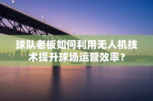 球队老板如何利用无人机技术提升球场运营效率？