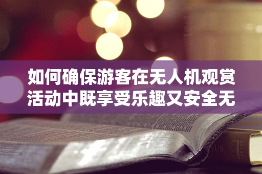 如何确保游客在无人机观赏活动中既享受乐趣又安全无忧？