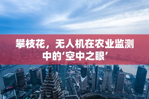 攀枝花，无人机在农业监测中的‘空中之眼’