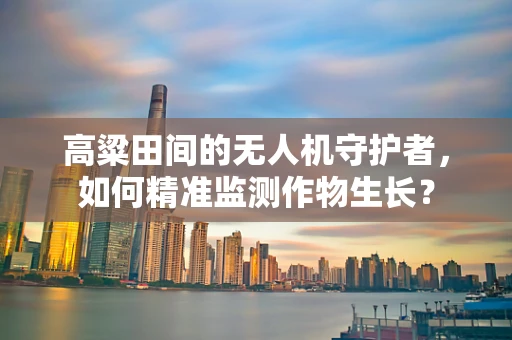高粱田间的无人机守护者，如何精准监测作物生长？