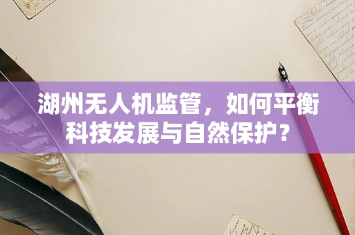 湖州无人机监管，如何平衡科技发展与自然保护？