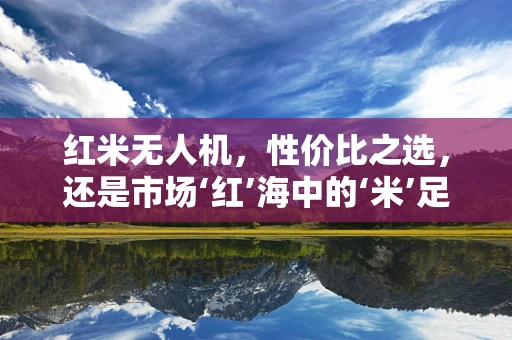 红米无人机，性价比之选，还是市场‘红’海中的‘米’足之地？