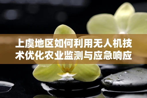 上虞地区如何利用无人机技术优化农业监测与应急响应？