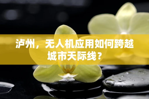 泸州，无人机应用如何跨越城市天际线？