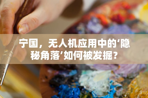 宁国，无人机应用中的‘隐秘角落’如何被发掘？