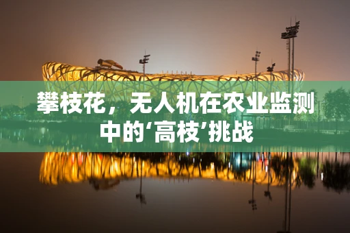 攀枝花，无人机在农业监测中的‘高枝’挑战