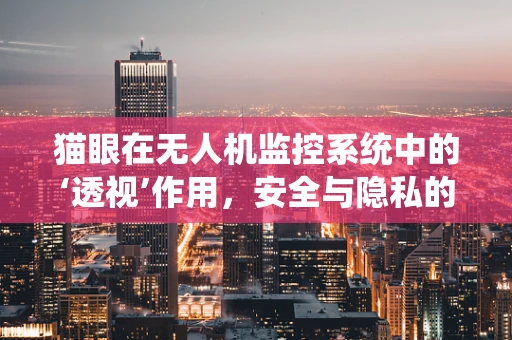 猫眼在无人机监控系统中的‘透视’作用，安全与隐私的微妙平衡？