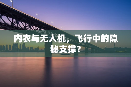 内衣与无人机，飞行中的隐秘支撑？