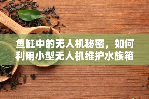鱼缸中的无人机秘密，如何利用小型无人机维护水族箱生态？