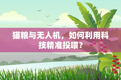 猫粮与无人机，如何利用科技精准投喂？