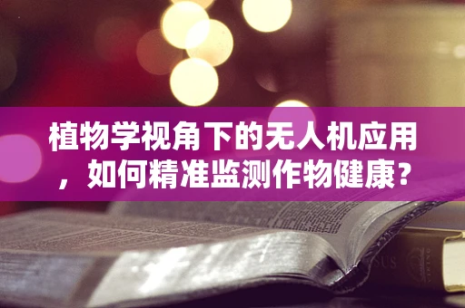 植物学视角下的无人机应用，如何精准监测作物健康？