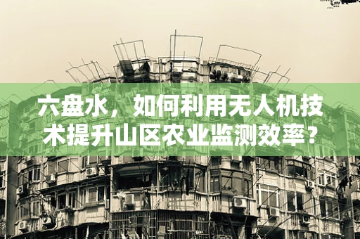六盘水，如何利用无人机技术提升山区农业监测效率？
