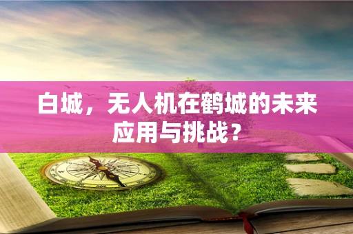 白城，无人机在鹤城的未来应用与挑战？