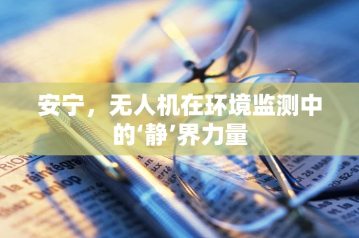 安宁，无人机在环境监测中的‘静’界力量