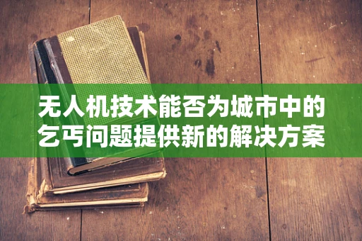 无人机技术能否为城市中的乞丐问题提供新的解决方案？