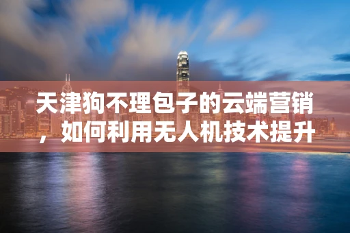 天津狗不理包子的云端营销，如何利用无人机技术提升品牌影响力？