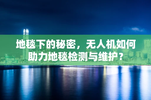 地毯下的秘密，无人机如何助力地毯检测与维护？