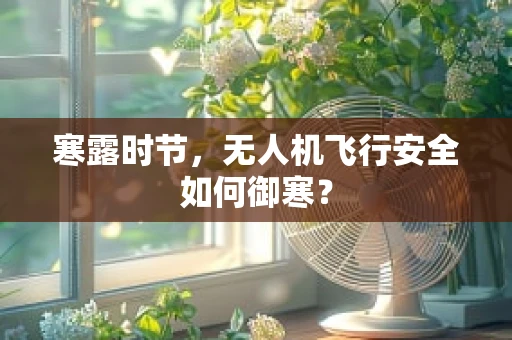 寒露时节，无人机飞行安全如何御寒？