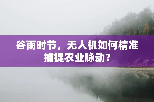 谷雨时节，无人机如何精准捕捉农业脉动？