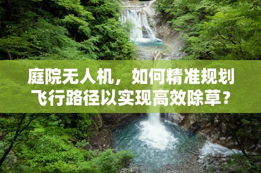 庭院无人机，如何精准规划飞行路径以实现高效除草？