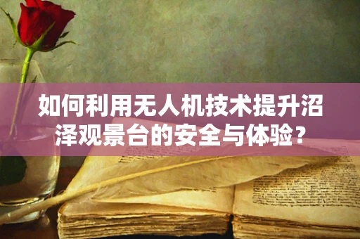如何利用无人机技术提升沼泽观景台的安全与体验？