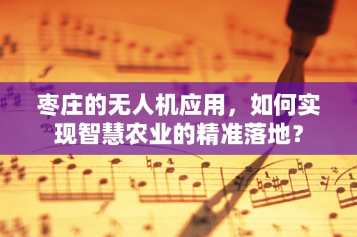 枣庄的无人机应用，如何实现智慧农业的精准落地？