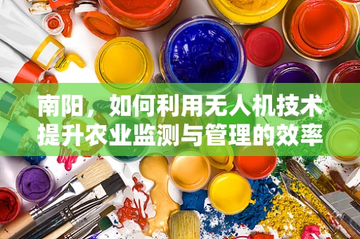 南阳，如何利用无人机技术提升农业监测与管理的效率？