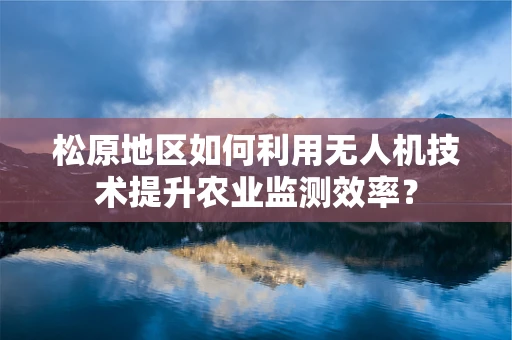 松原地区如何利用无人机技术提升农业监测效率？