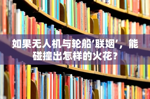 如果无人机与轮船‘联姻’，能碰撞出怎样的火花？