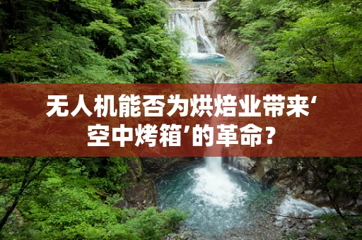 无人机能否为烘焙业带来‘空中烤箱’的革命？