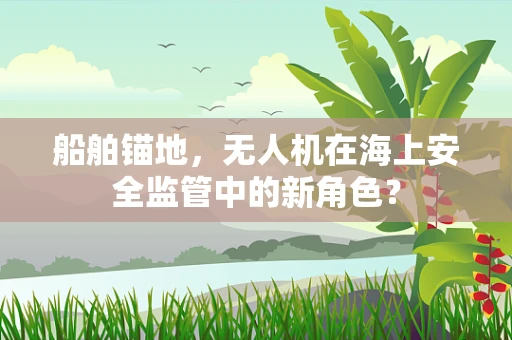 船舶锚地，无人机在海上安全监管中的新角色？