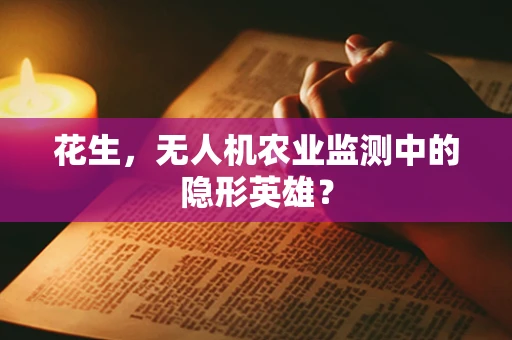 花生，无人机农业监测中的隐形英雄？