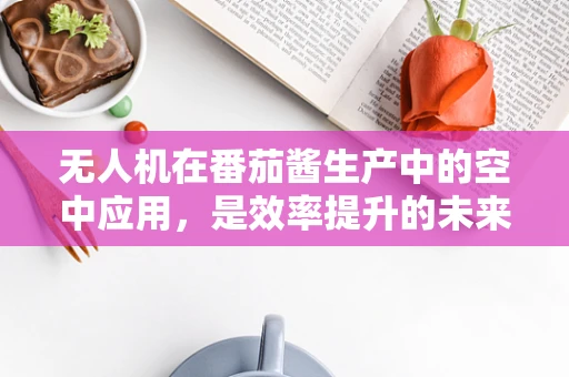 无人机在番茄酱生产中的空中应用，是效率提升的未来吗？