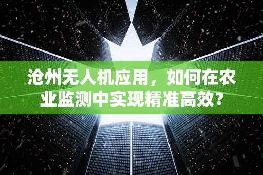 沧州无人机应用，如何在农业监测中实现精准高效？