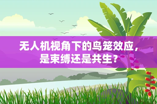 无人机视角下的鸟笼效应，是束缚还是共生？
