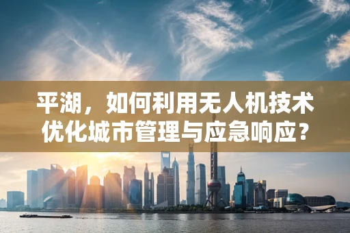 平湖，如何利用无人机技术优化城市管理与应急响应？