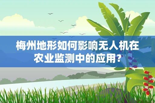 梅州地形如何影响无人机在农业监测中的应用？